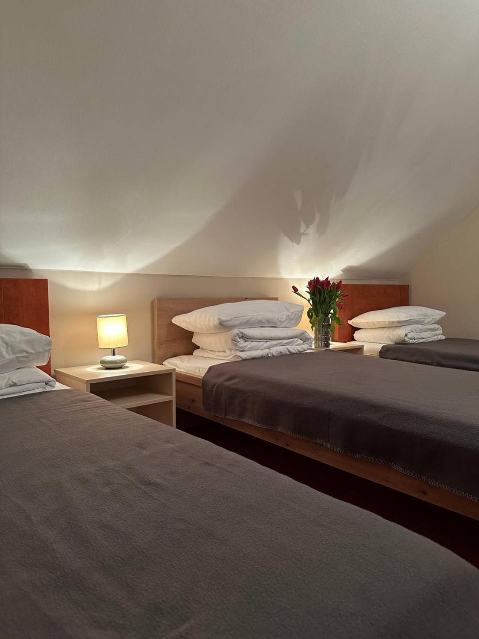 Hotel Marislav Cesnovice المظهر الخارجي الصورة
