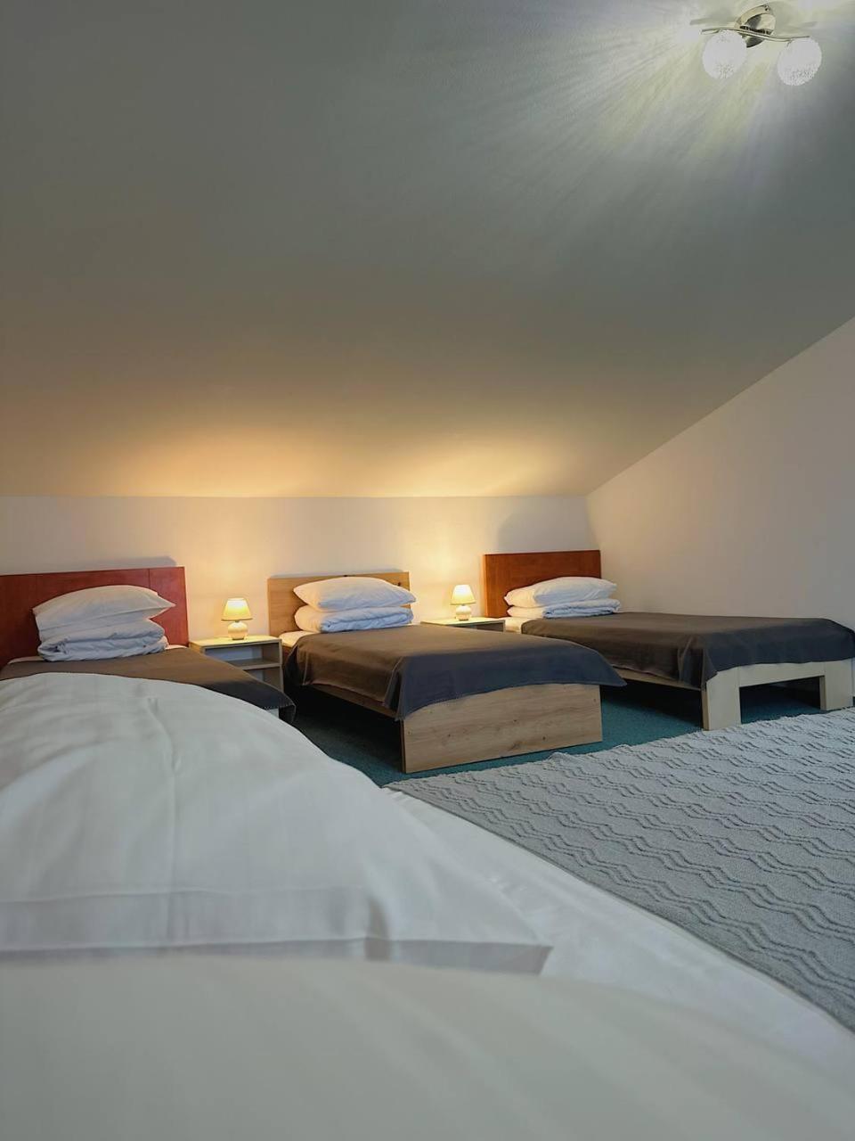Hotel Marislav Cesnovice المظهر الخارجي الصورة